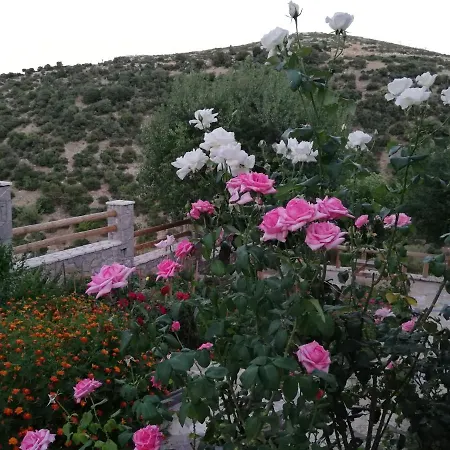 Agno - αγνώ Ano Karies
