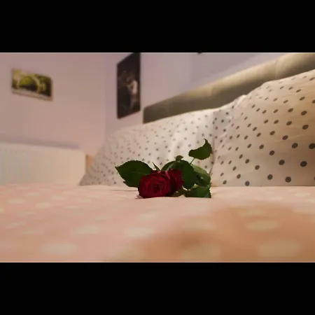 Villa Agno - αγνώ *