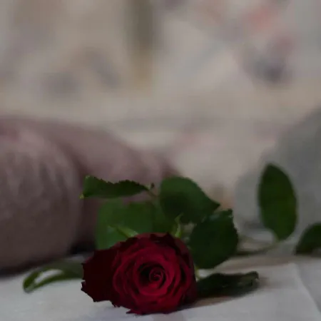 Villa Agno - αγνώ