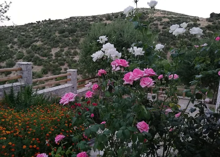 Agno - αγνώ Ano Karies