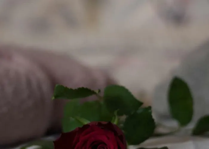 Vila Agno - αγνώ