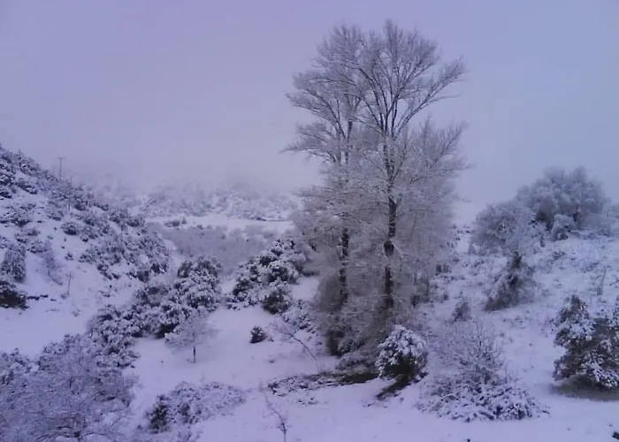Agno - αγνώ *